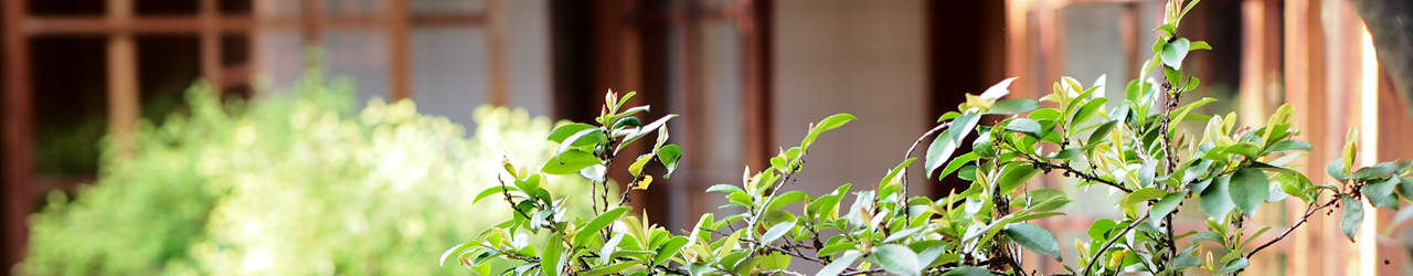 利益改善PMS（中小規模宿向け）